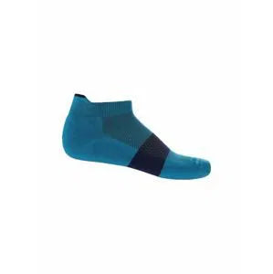 Mens Merino Multisport Light Micro Socks