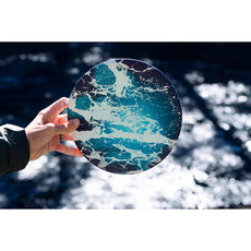 Wingman Pro Discs (Color Varies)