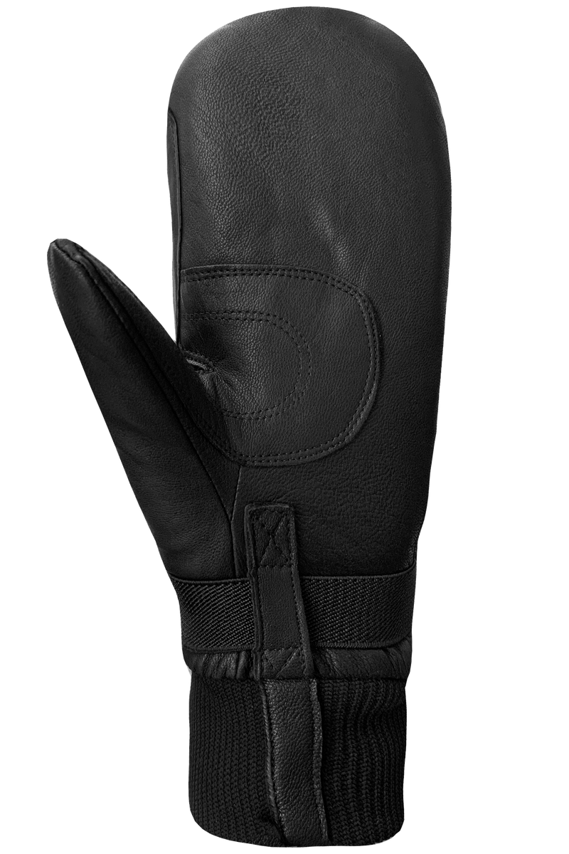 Men's WWPB Gigatex Mitts