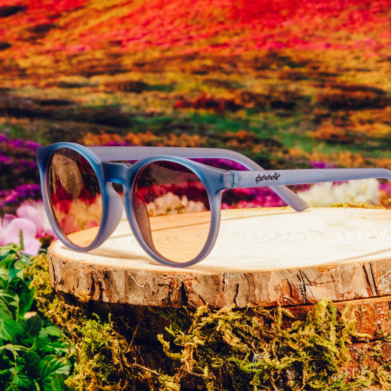 Circle G Stares Into the Abyss