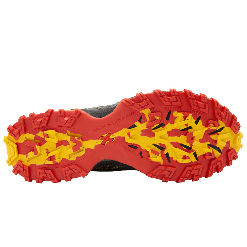 Men's Bushido III Wide GTX Shoe