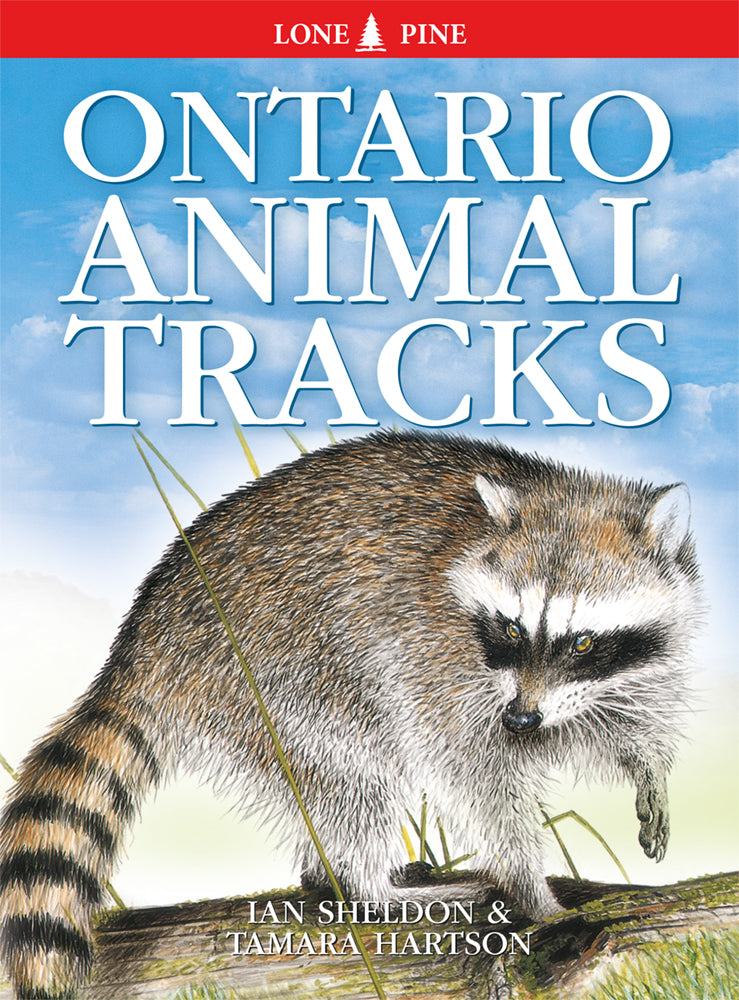 Ontario Animal Tracks Book