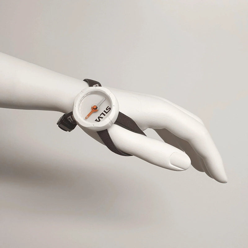Begin 2 Wrist Compass