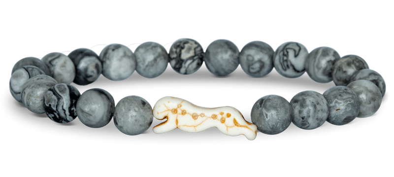 Fahlo Animal Tracking Bracelet