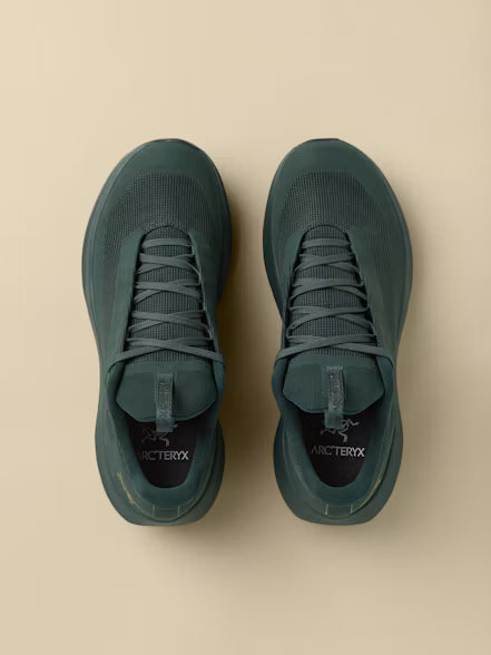 Women's Norvan LD 4 GTX Shoe