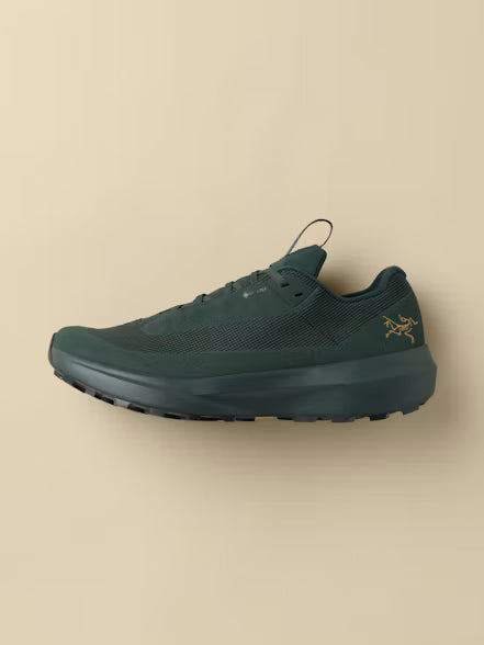 Women's Norvan LD 4 GTX Shoe