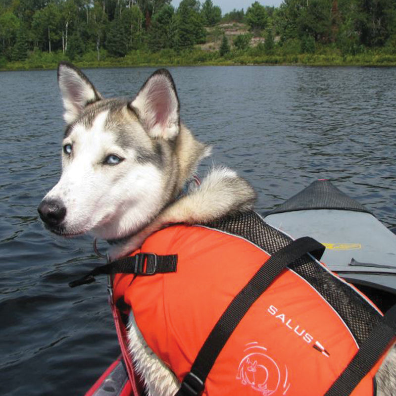 Skippy Dog's PFD LRG-XL