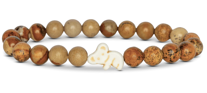 Fahlo Animal Tracking Bracelet