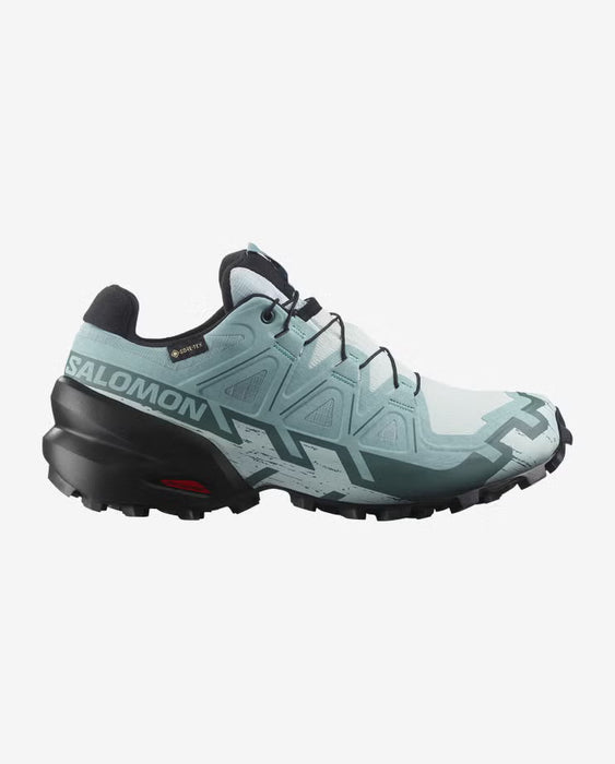 Women's Speedcross 6 GTX Shoe
