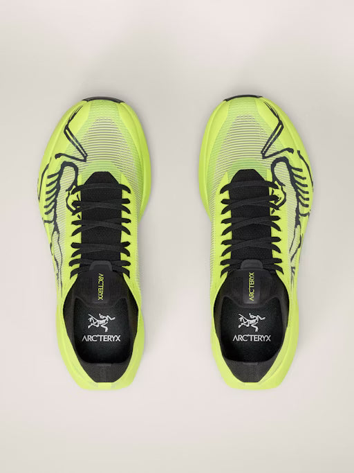 Men's Sylan 2 Trail Shoe
