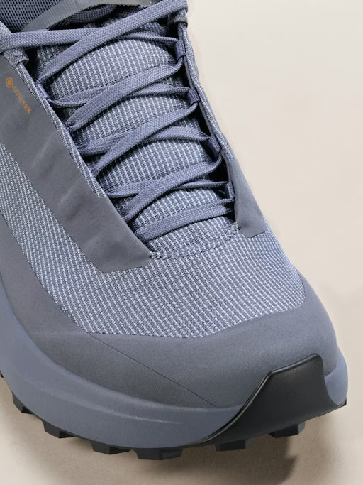 Women's Norvan LD 4 GTX Shoe