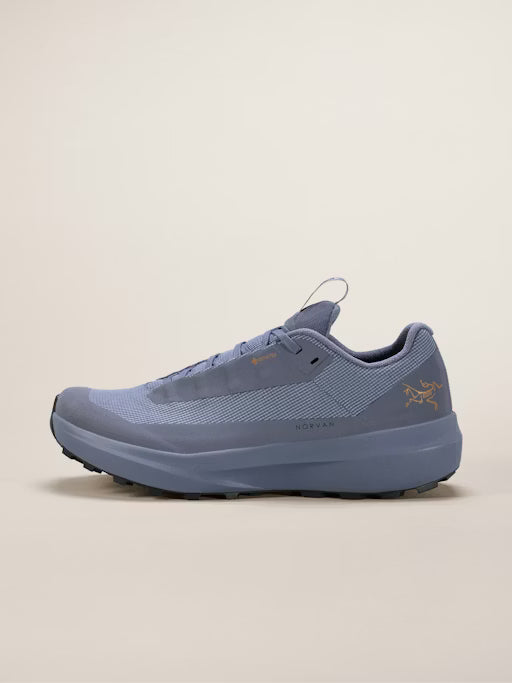 Women's Norvan LD 4 GTX Shoe