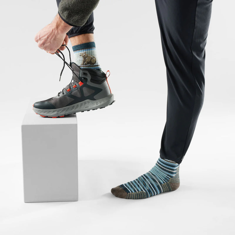 Mens Hike Bear Stripe Mid Crew Sock