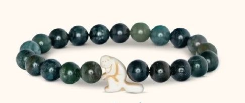 Fahlo Animal Tracking Bracelet