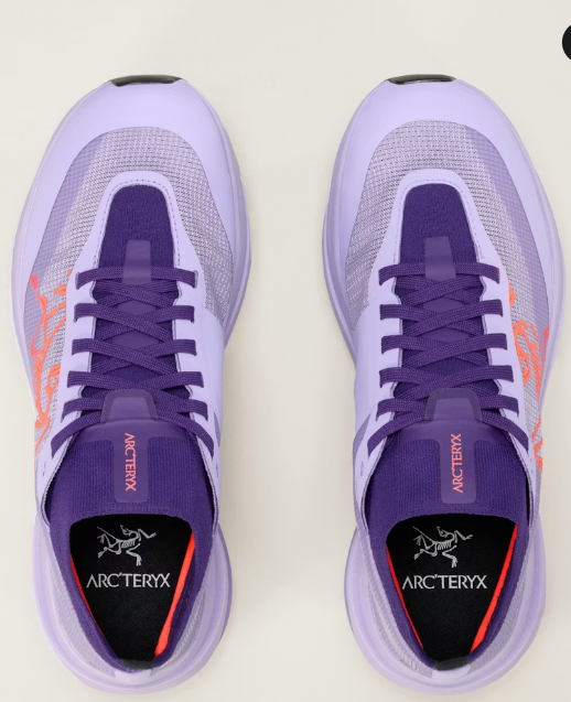 Women's Sylan Pro Shoe