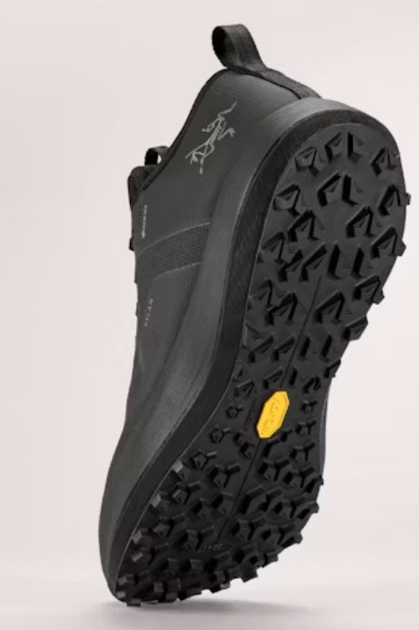 Women's Sylan GTX Shoe