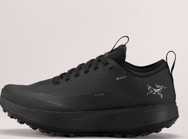 Women's Sylan GTX Shoe