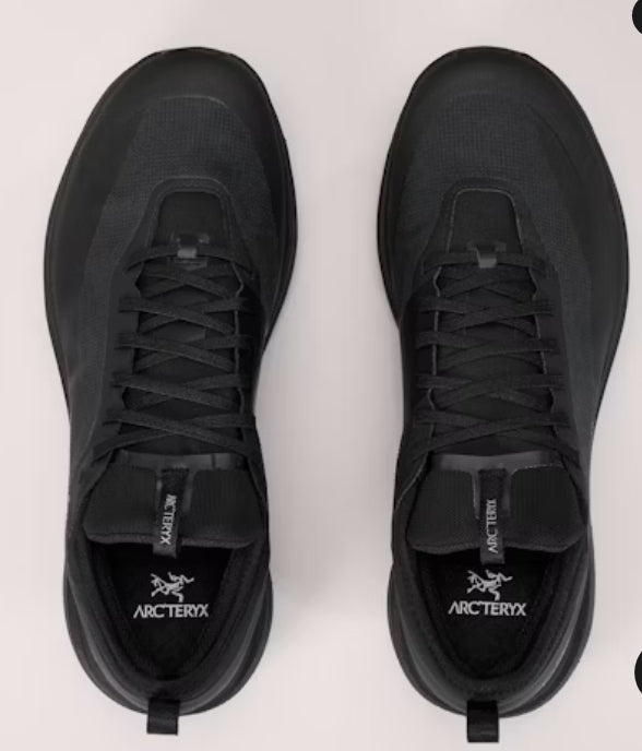 Women's Sylan GTX Shoe