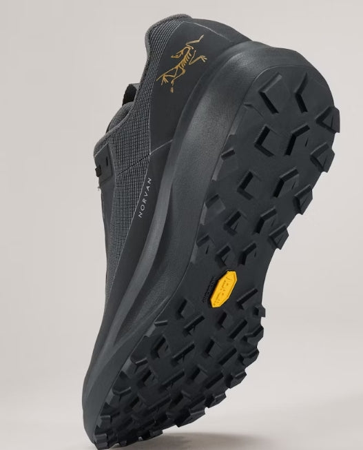 Men's Norvan LD 4 GTX Shoe