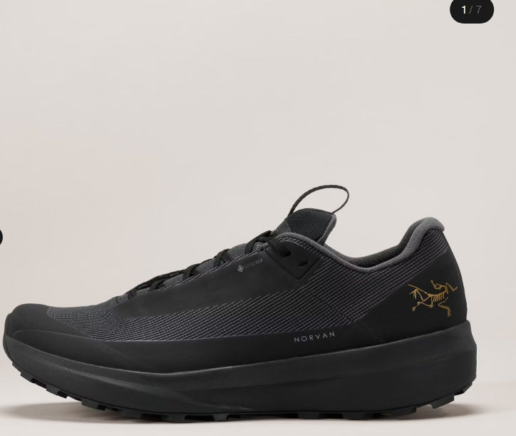 Men's Norvan LD 4 GTX Shoe