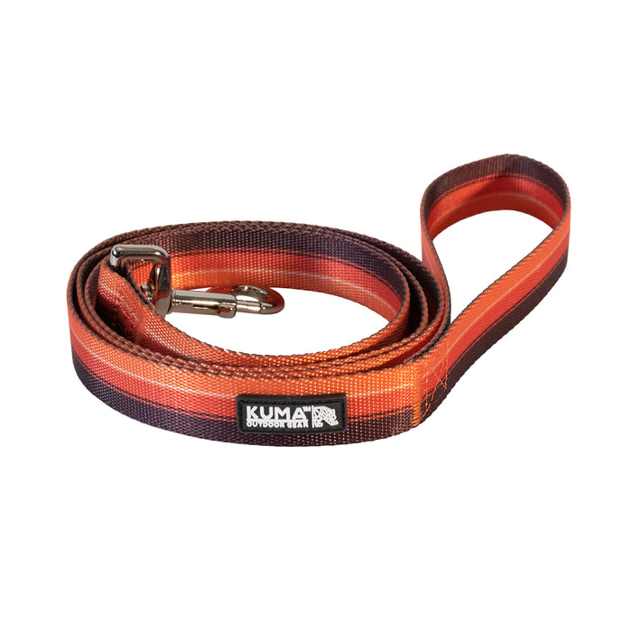 Backtrack Dog Leash