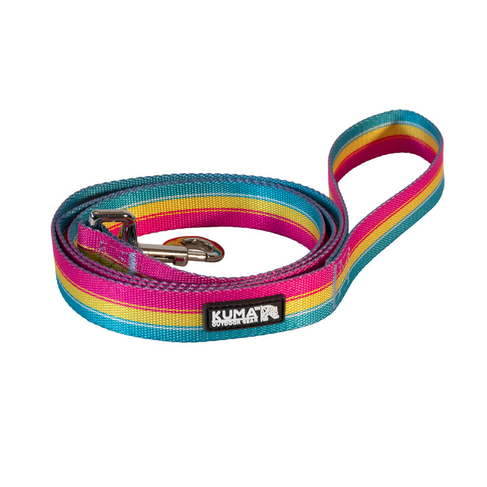 Backtrack Dog Leash