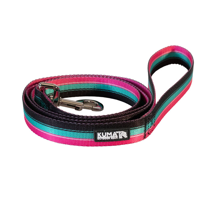 Backtrack Dog Leash