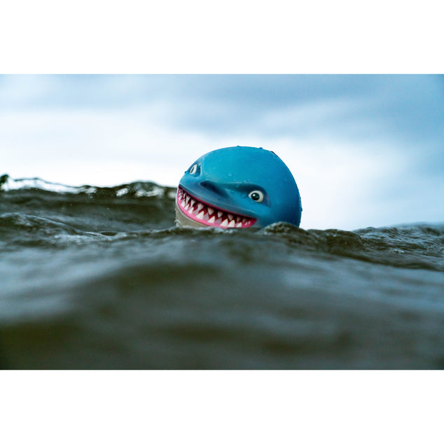 Sharky Shark Ball