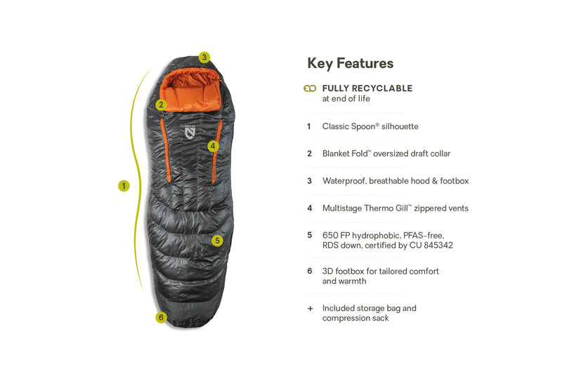 Disco™ Men's Endless Promise® Down Sleeping Bag 30°F Long Length