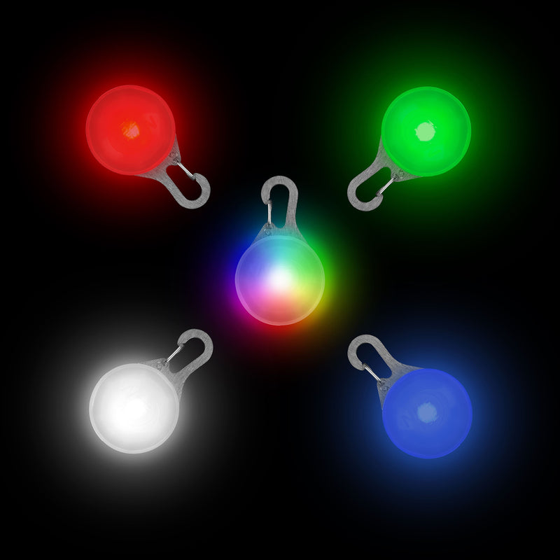 Spotlit Rechargeable Dog Collar Light - Disc-o-Tech