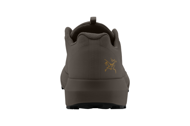 Men's Norvan LD 4 GTX Shoe