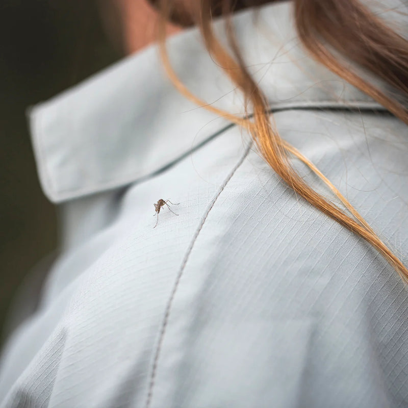 Women's Expedition III Long Sleeve Shirt