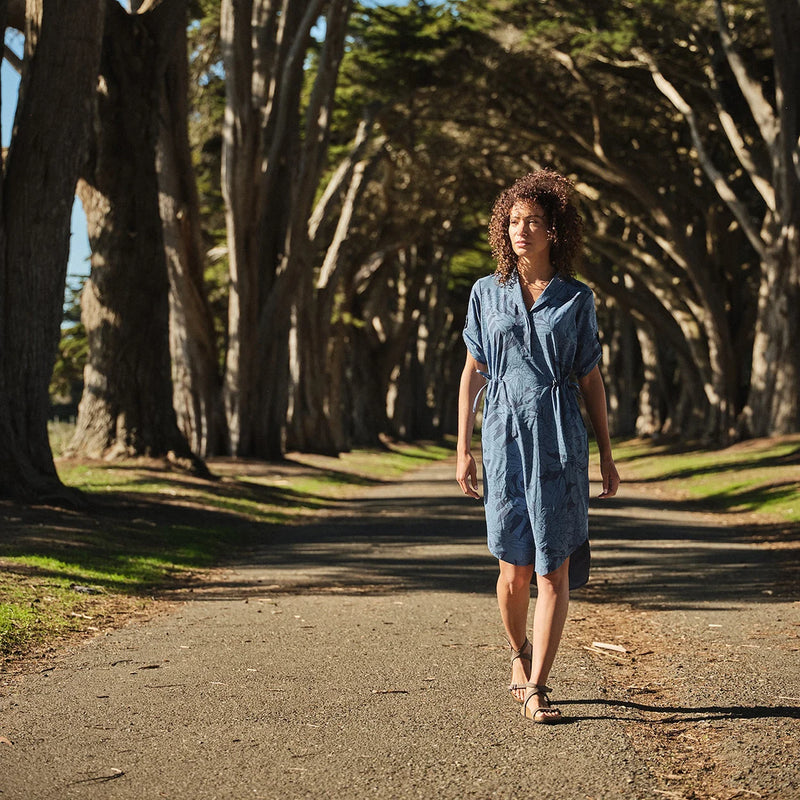 Women's Spotless Traveler Dress